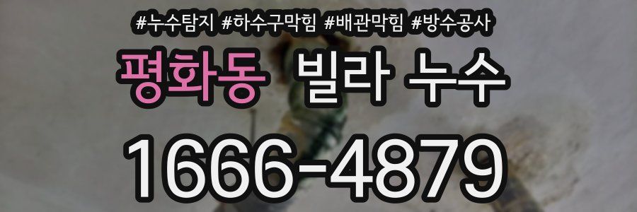 평화동 빌라 누수