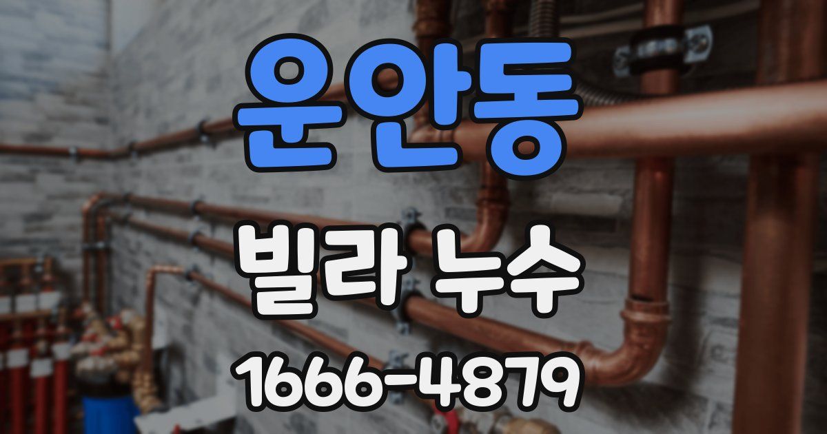 운안동 빌라 누수