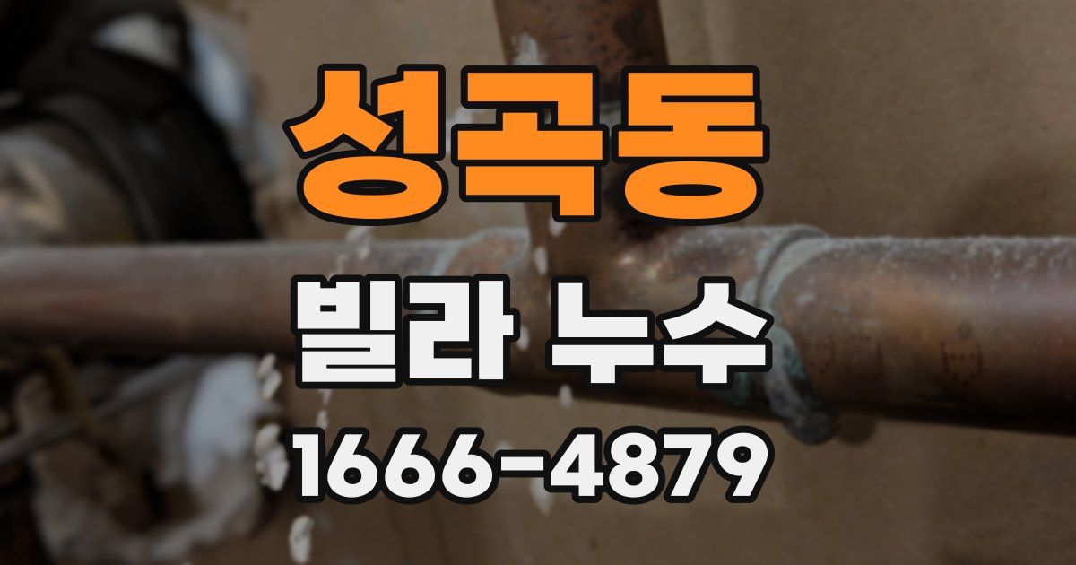 성곡동 빌라 누수