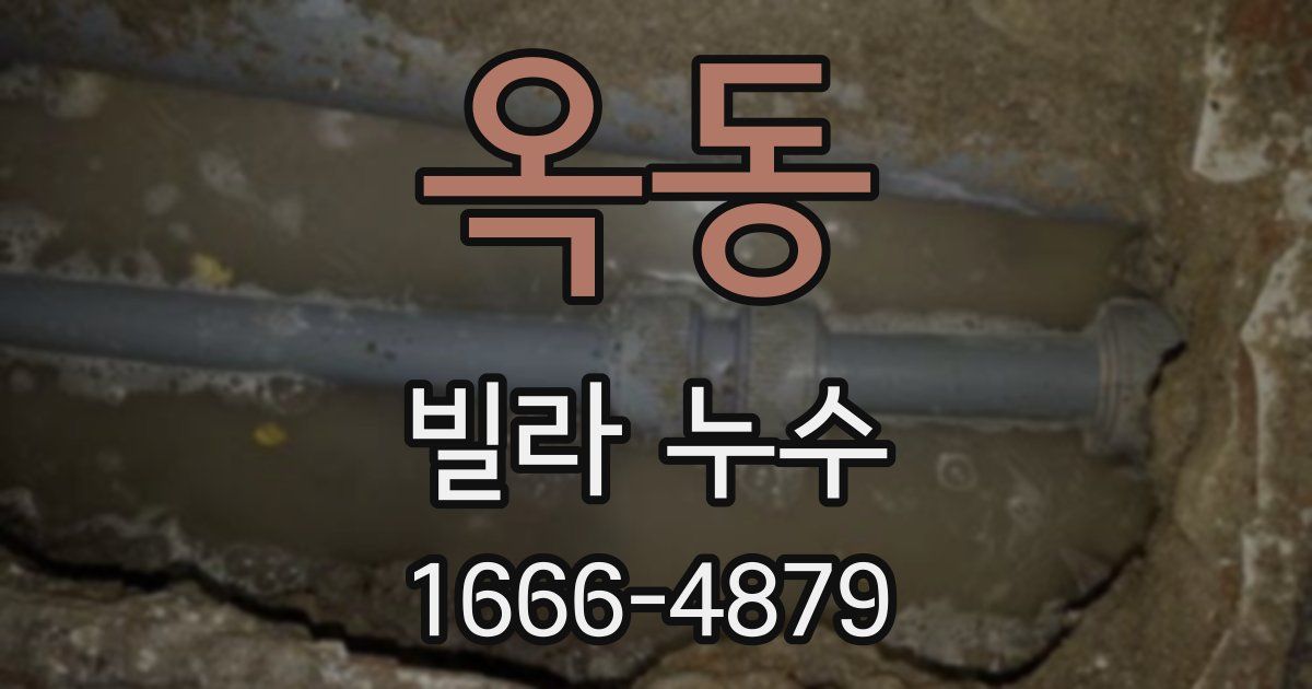 옥동 빌라 누수