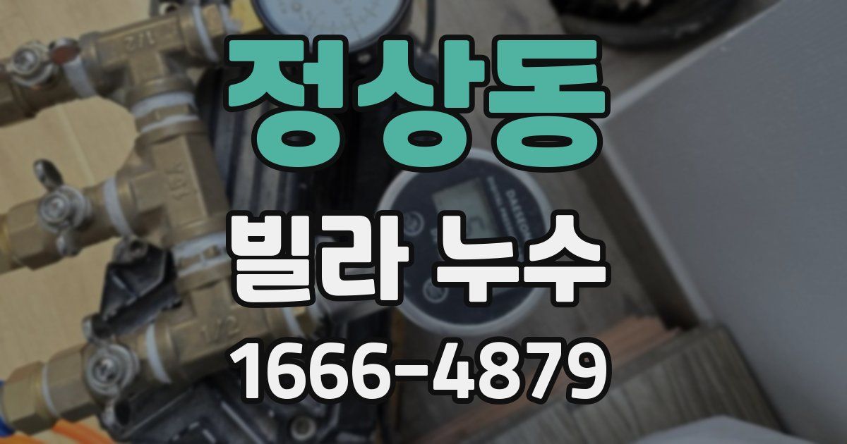 정상동 빌라 누수