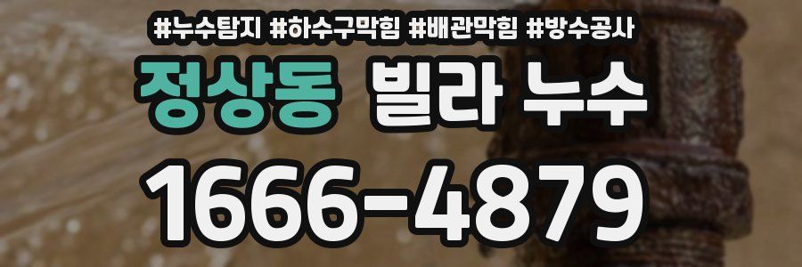 정상동 빌라 누수