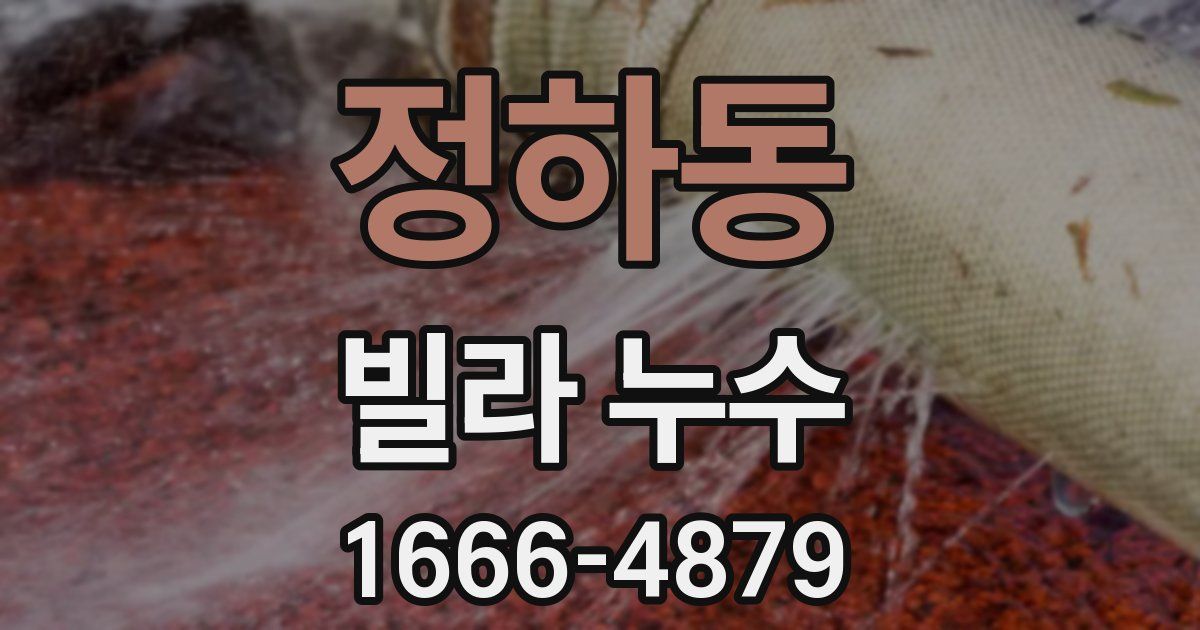 정하동 빌라 누수