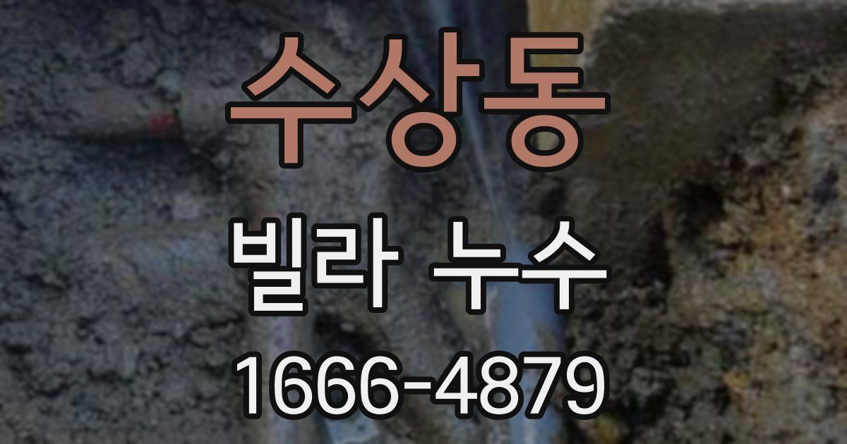 수상동 빌라 누수