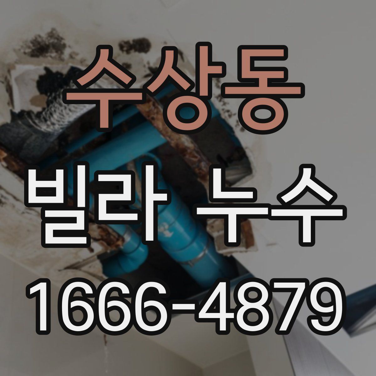 수상동 빌라 누수
