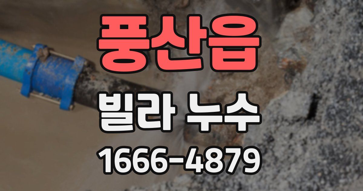 풍산읍 빌라 누수