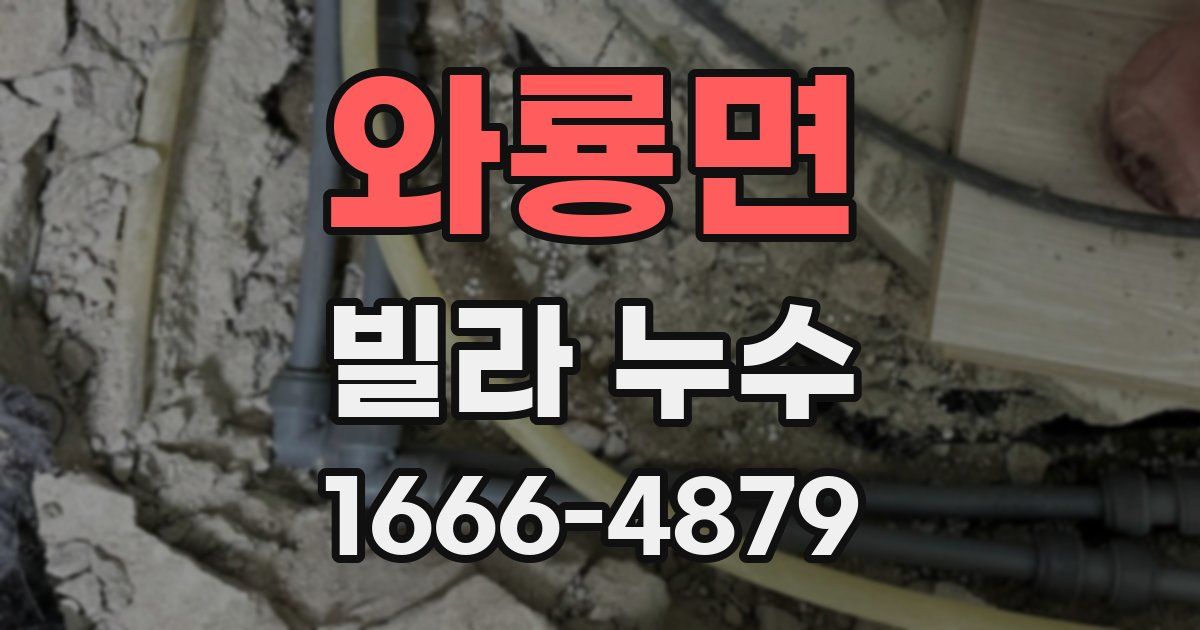 와룡면 빌라 누수