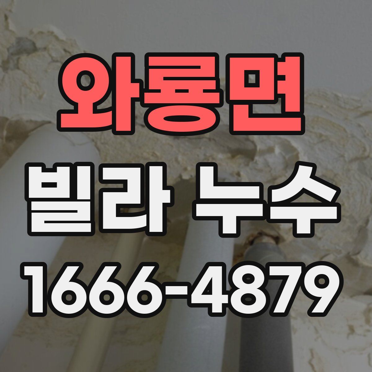 와룡면 빌라 누수