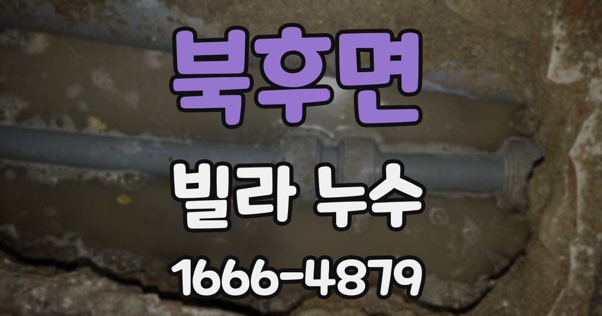 북후면 빌라 누수