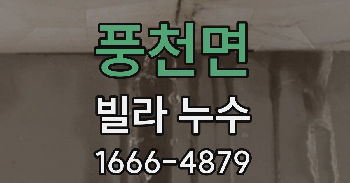 풍천면 빌라 누수