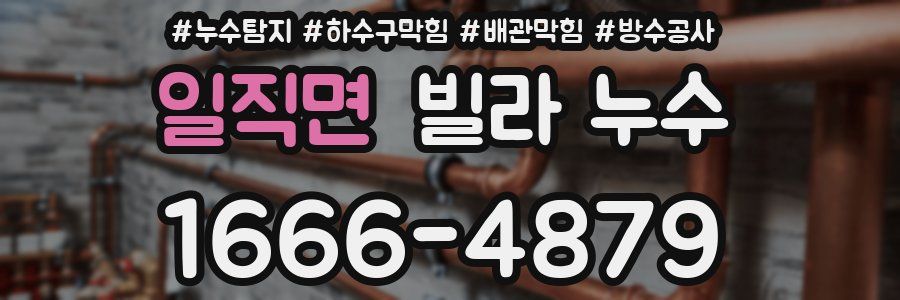 일직면 빌라 누수