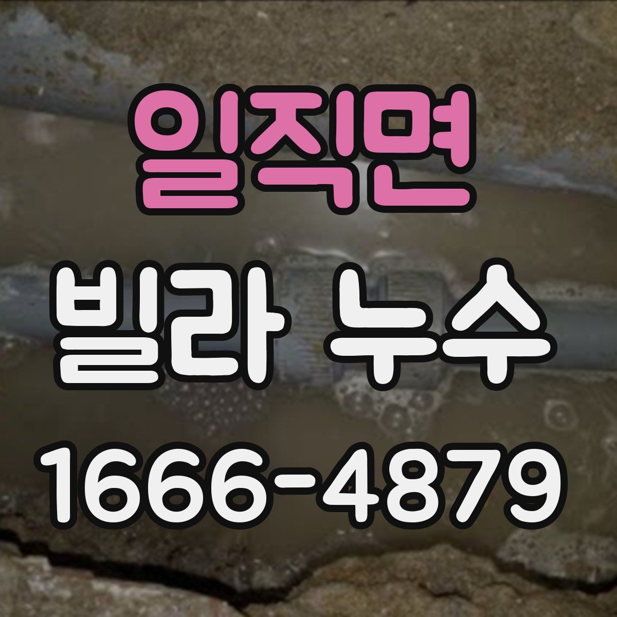 일직면 빌라 누수