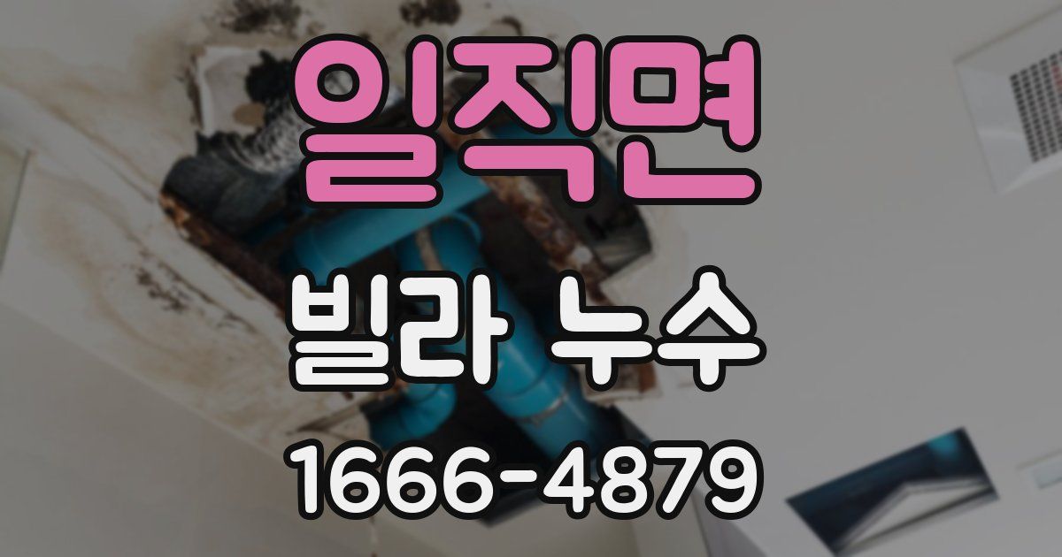 일직면 빌라 누수