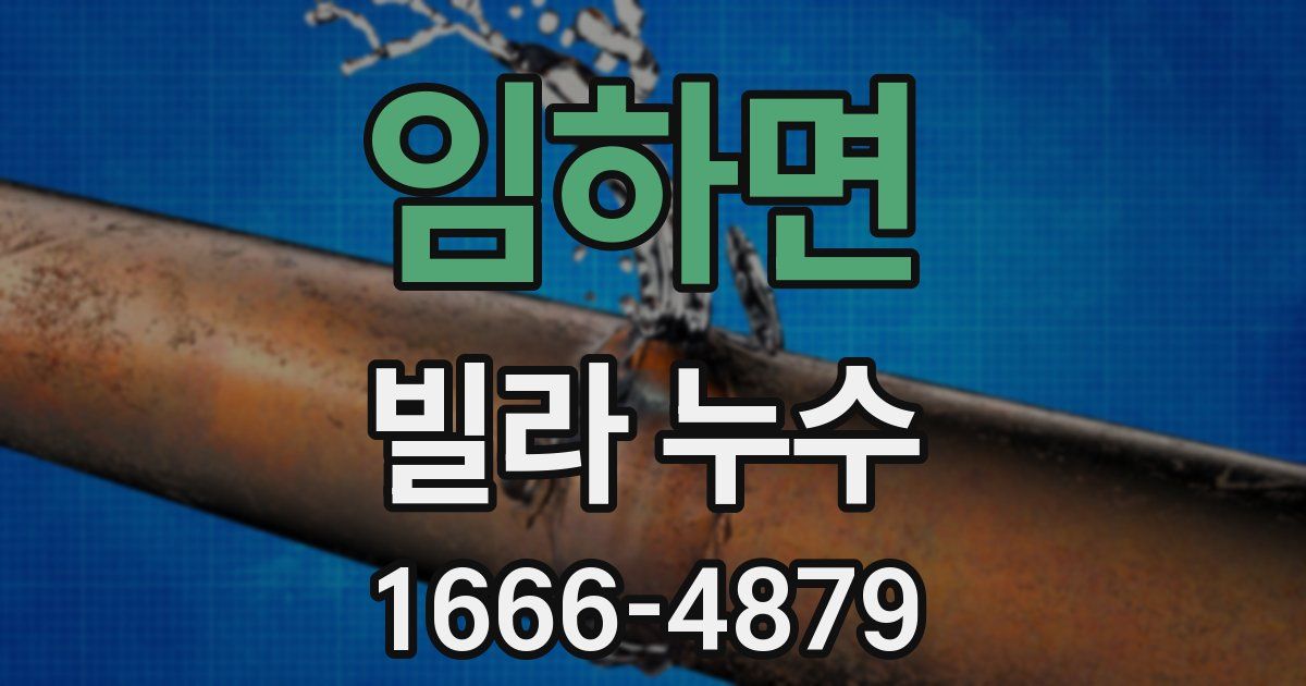 임하면 빌라 누수