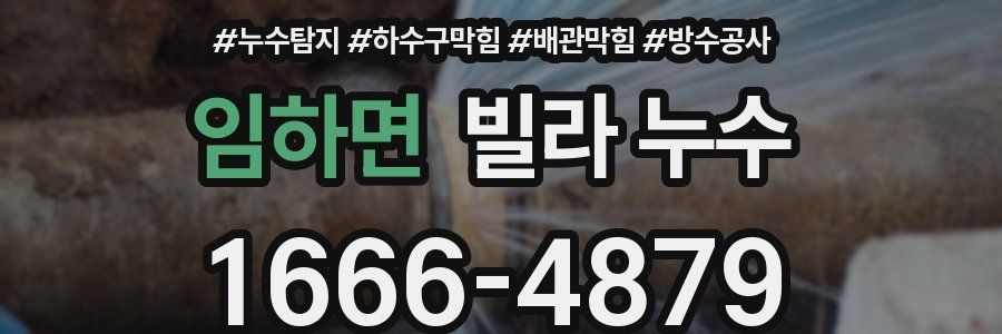 임하면 빌라 누수