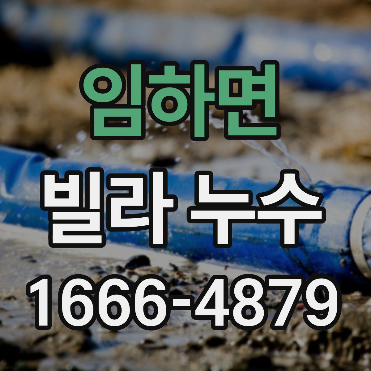 임하면 빌라 누수