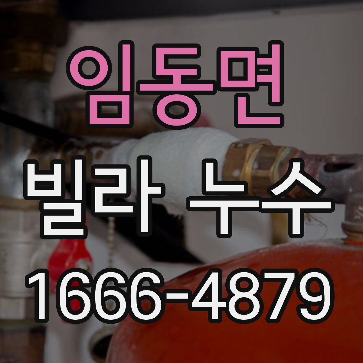 임동면 빌라 누수