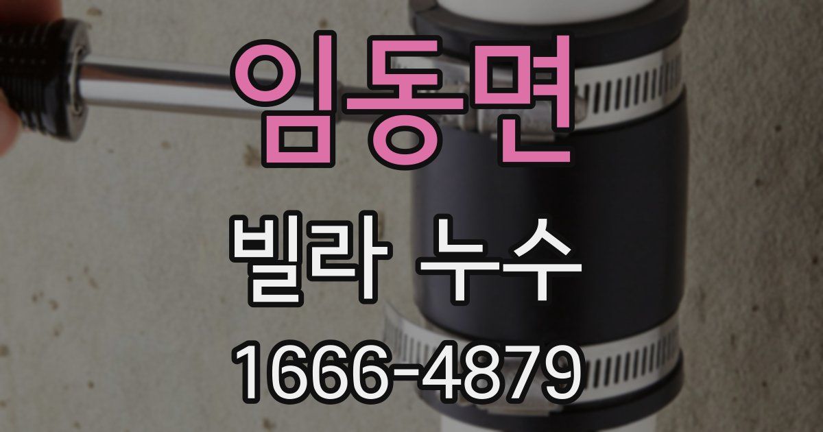 임동면 빌라 누수
