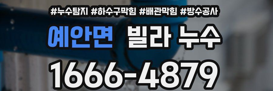 예안면 빌라 누수