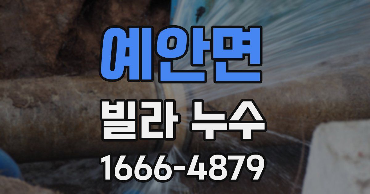 예안면 빌라 누수