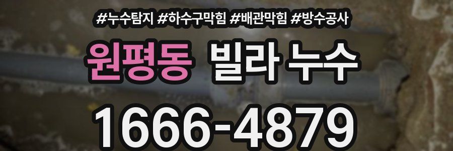원평동 빌라 누수