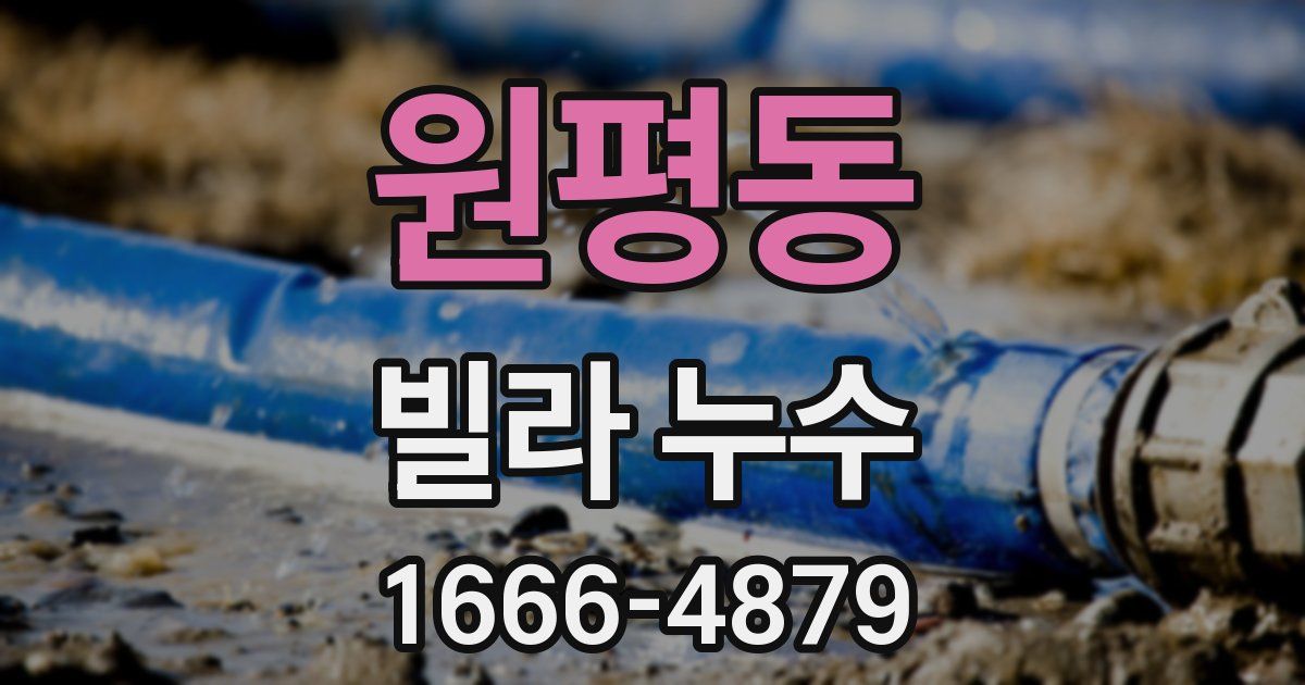 원평동 빌라 누수