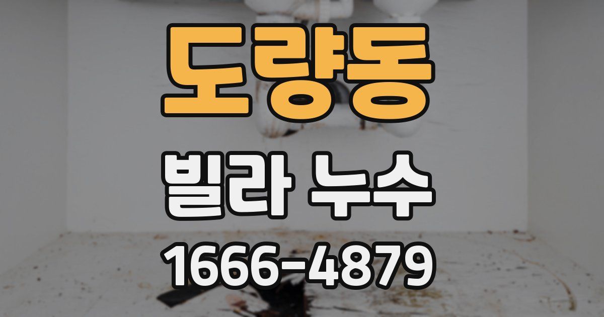 도량동 빌라 누수