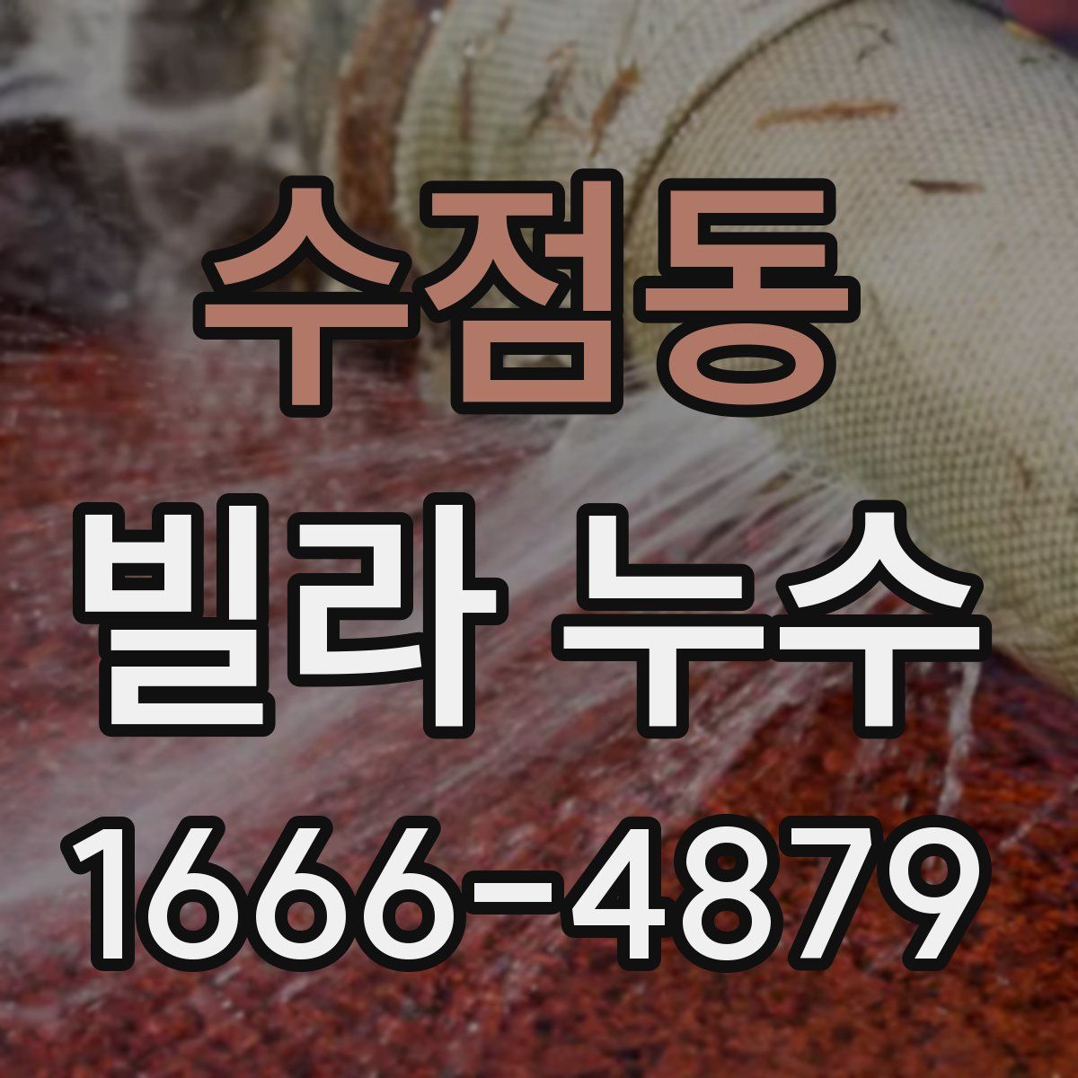 수점동 빌라 누수