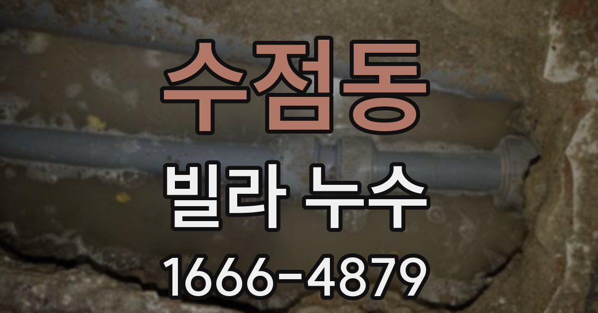 수점동 빌라 누수
