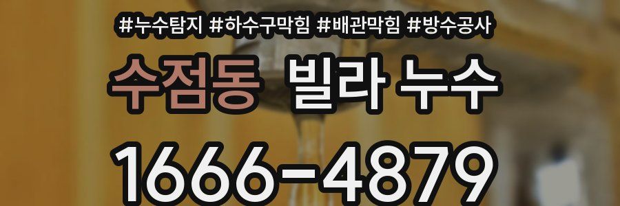 수점동 빌라 누수