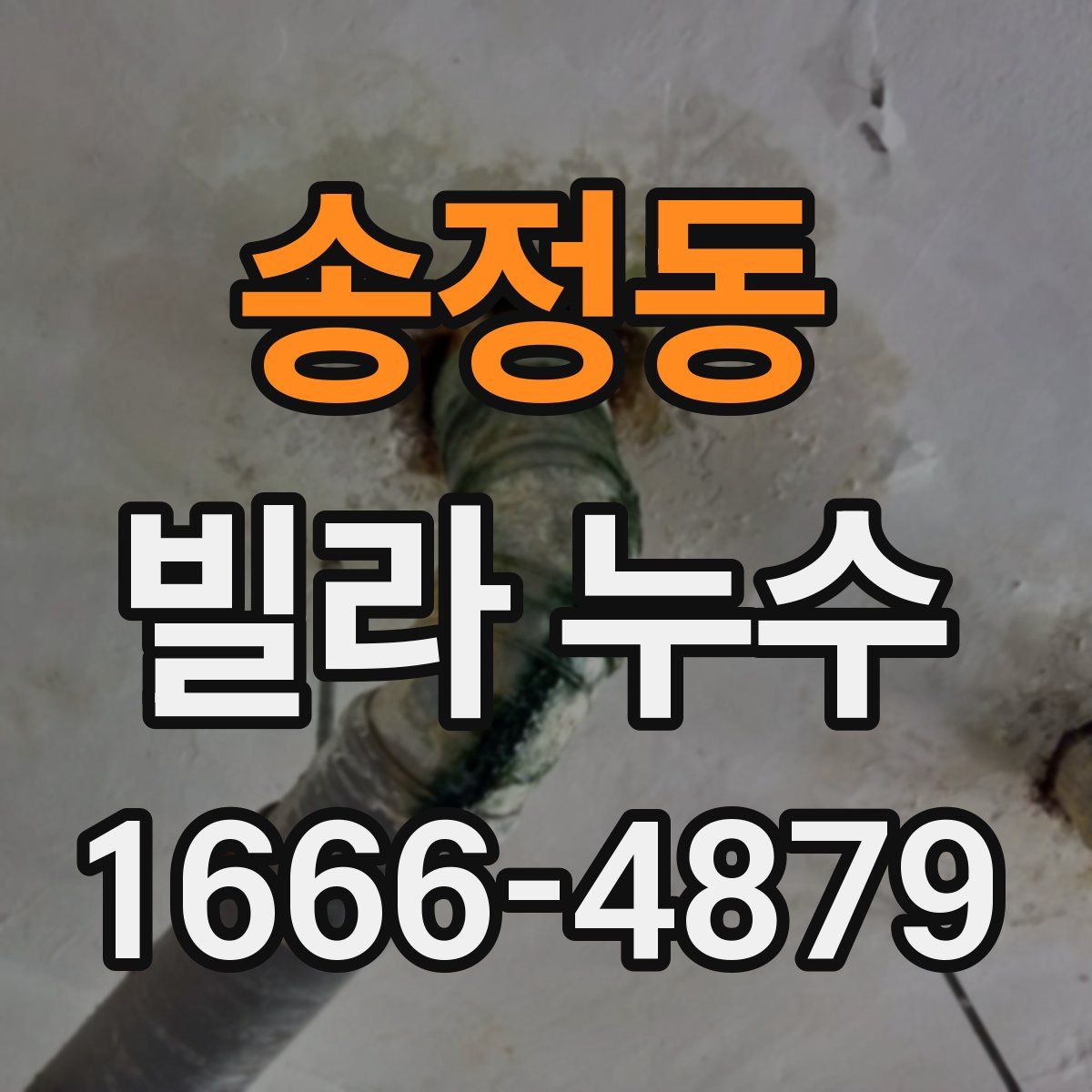 송정동 빌라 누수