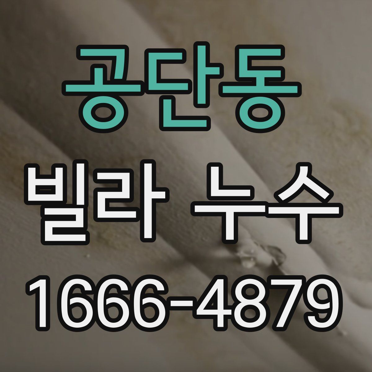 공단동 빌라 누수