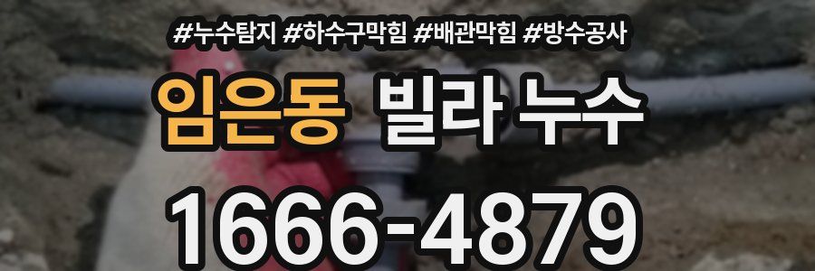 임은동 빌라 누수