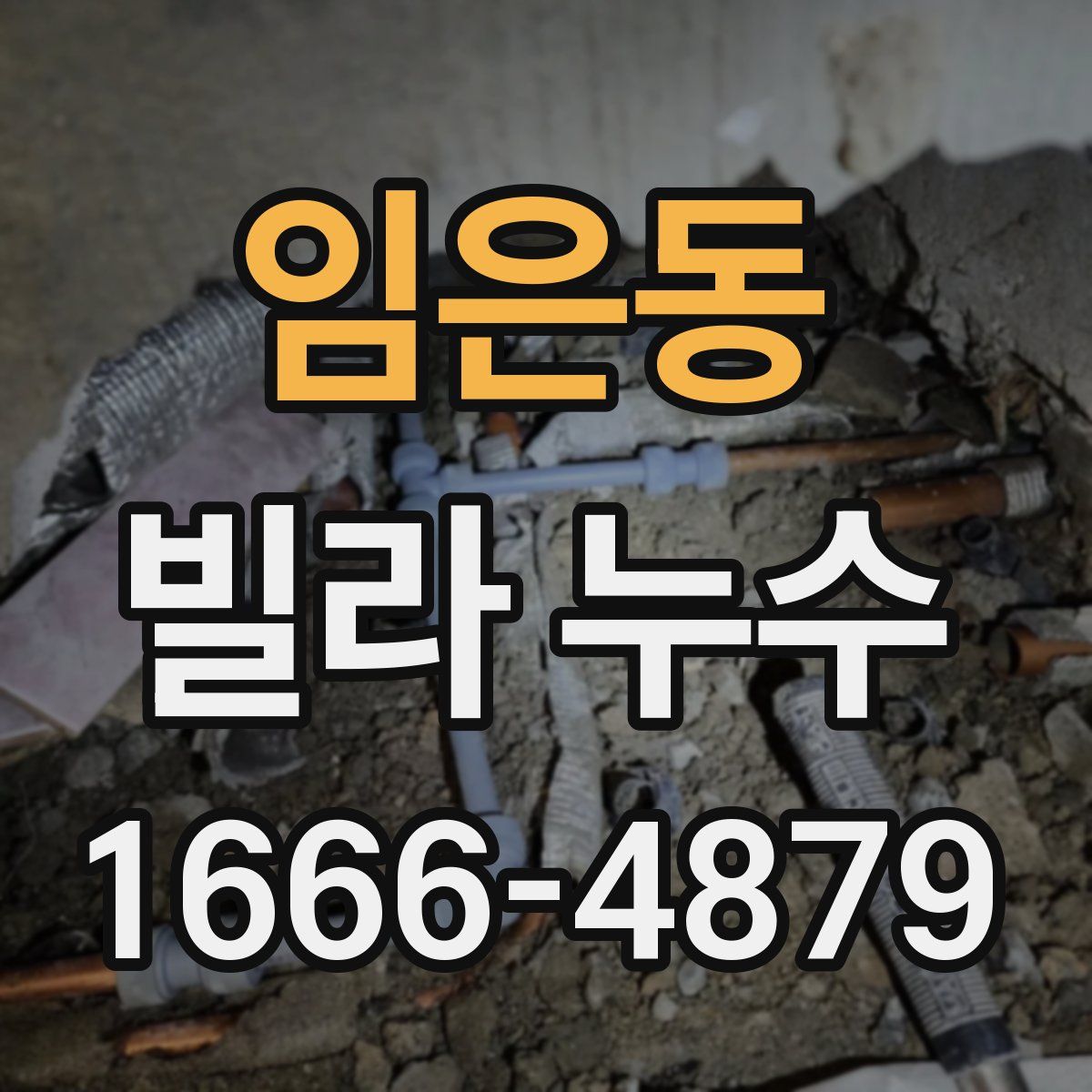 임은동 빌라 누수