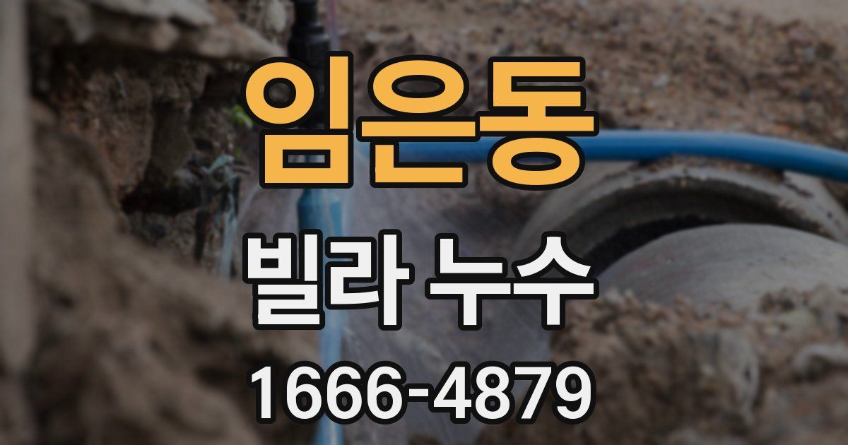 임은동 빌라 누수