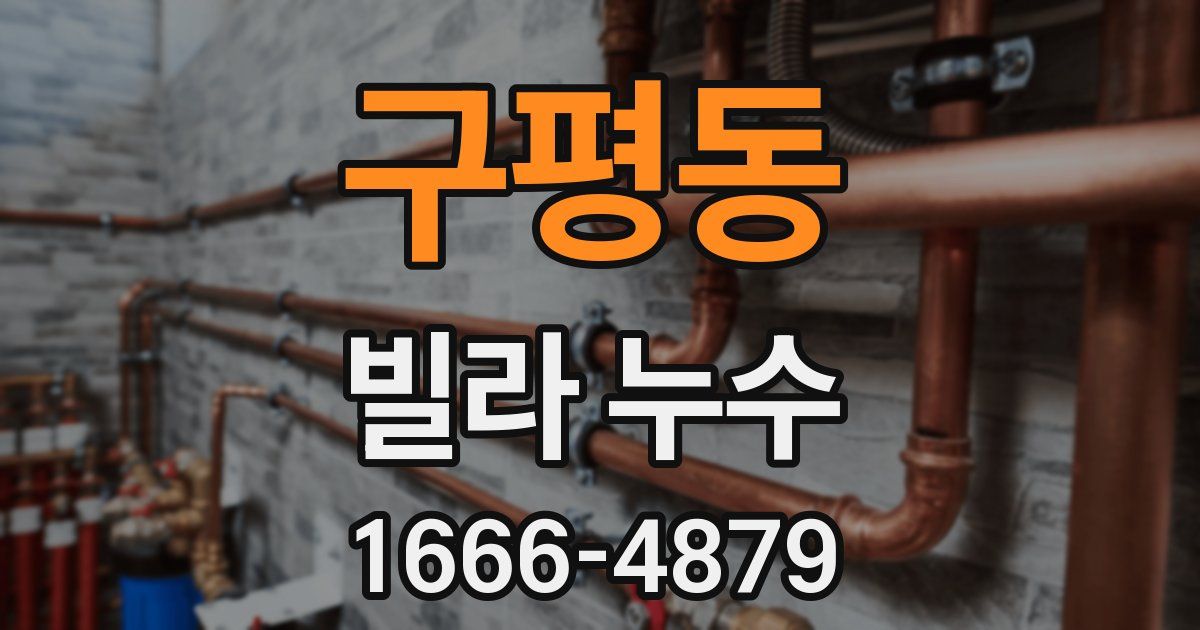 구평동 빌라 누수