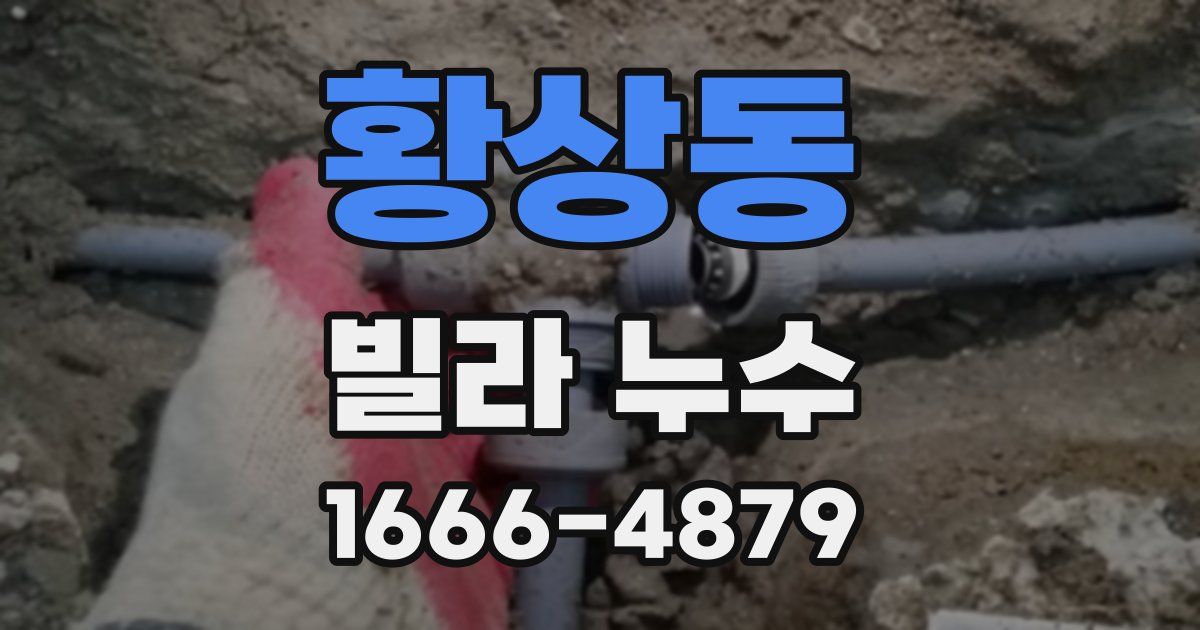 황상동 빌라 누수