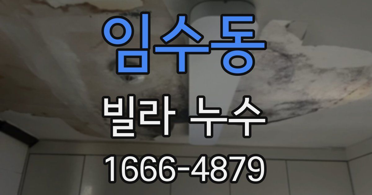 임수동 빌라 누수