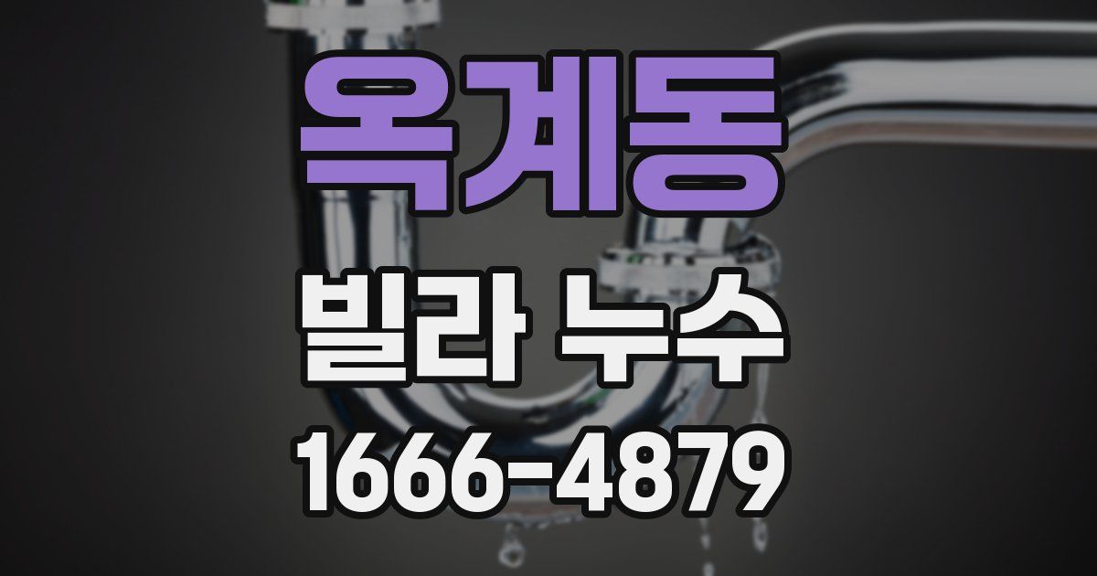 옥계동 빌라 누수