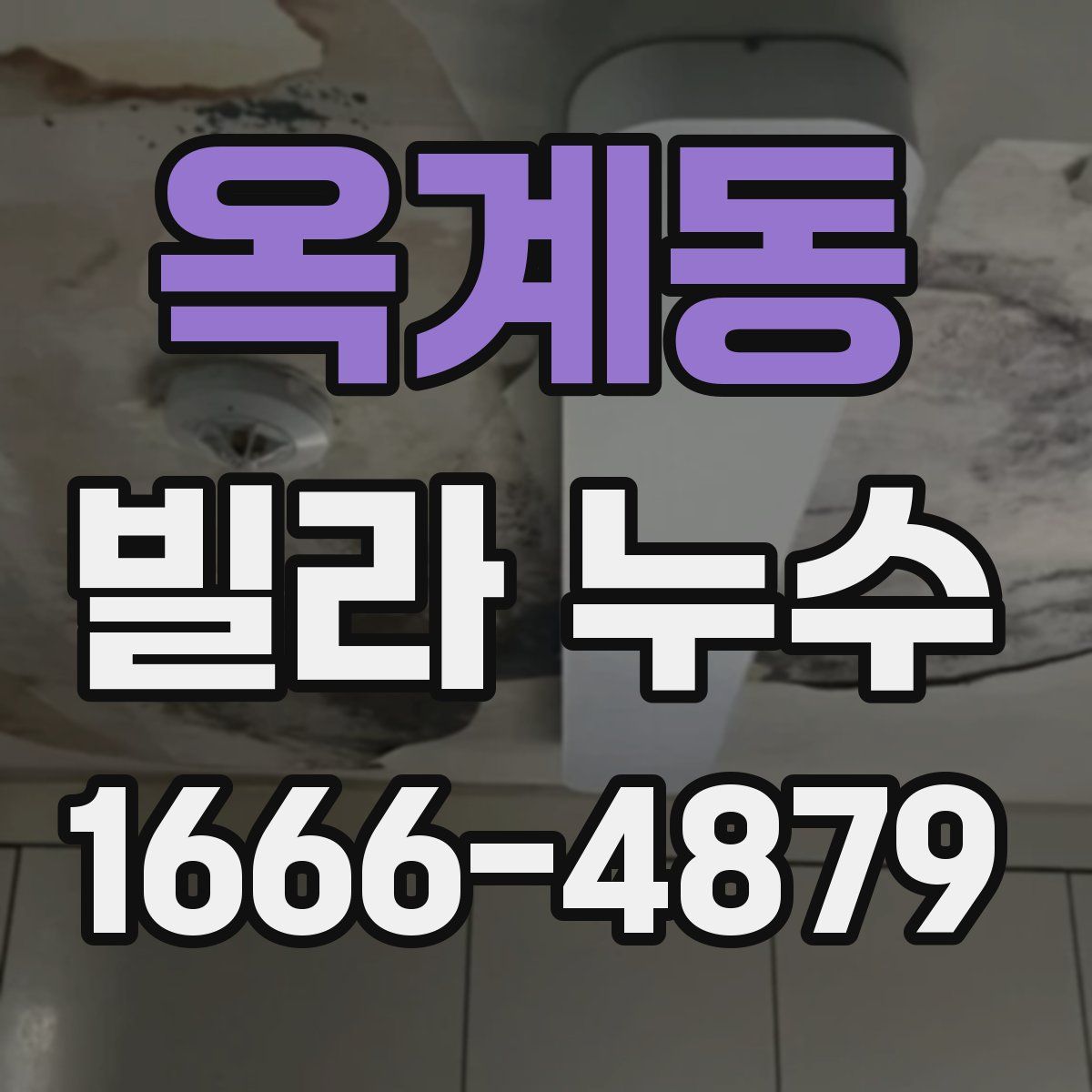 옥계동 빌라 누수