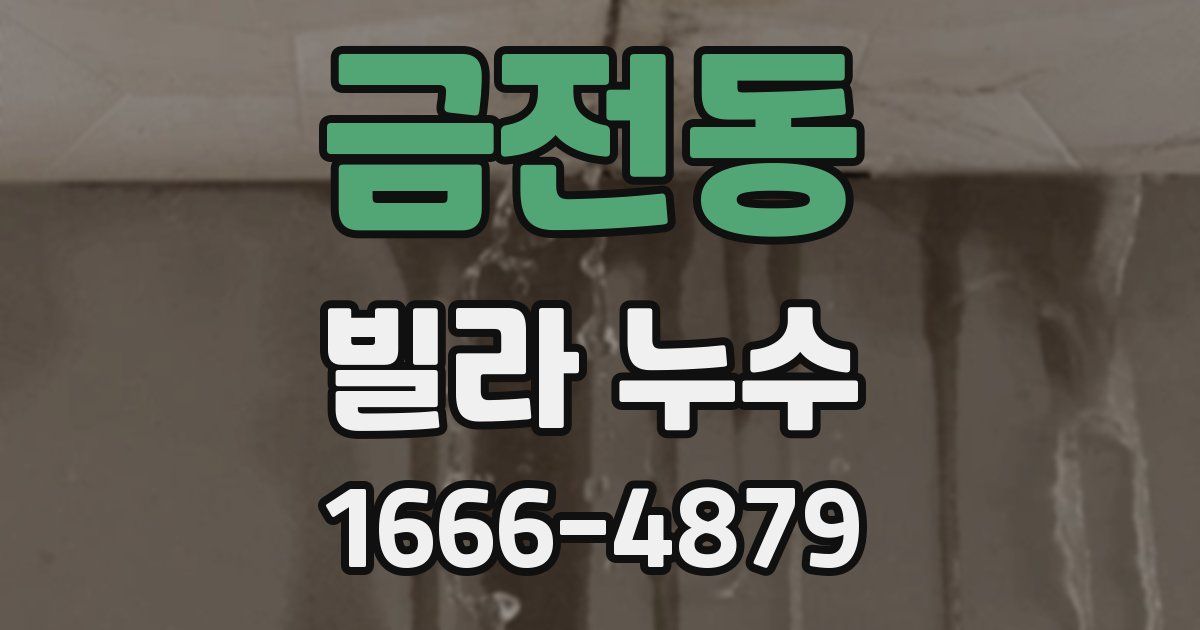 금전동 빌라 누수