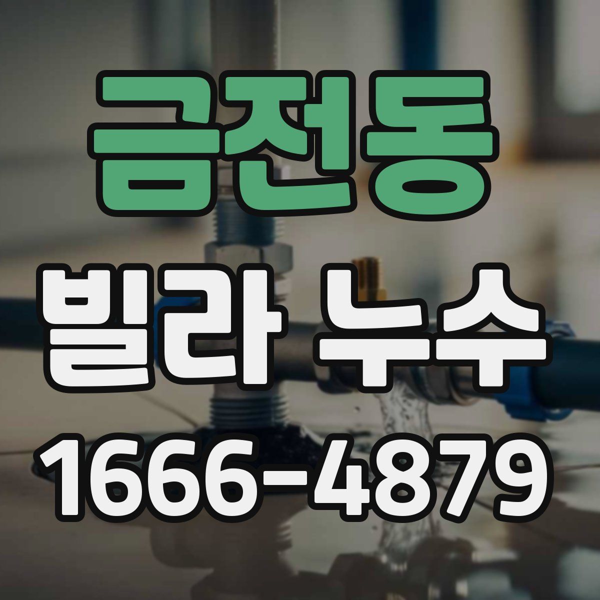 금전동 빌라 누수