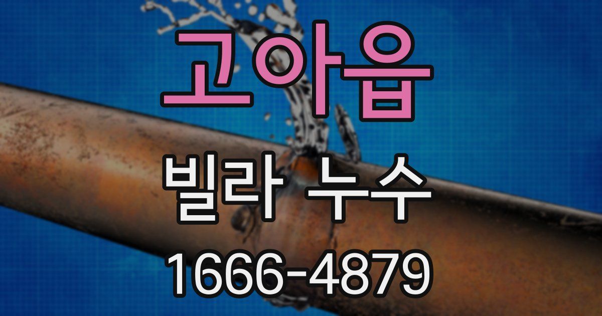 고아읍 빌라 누수