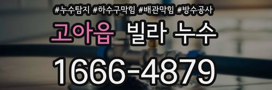 고아읍 빌라 누수
