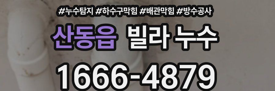 산동읍 빌라 누수