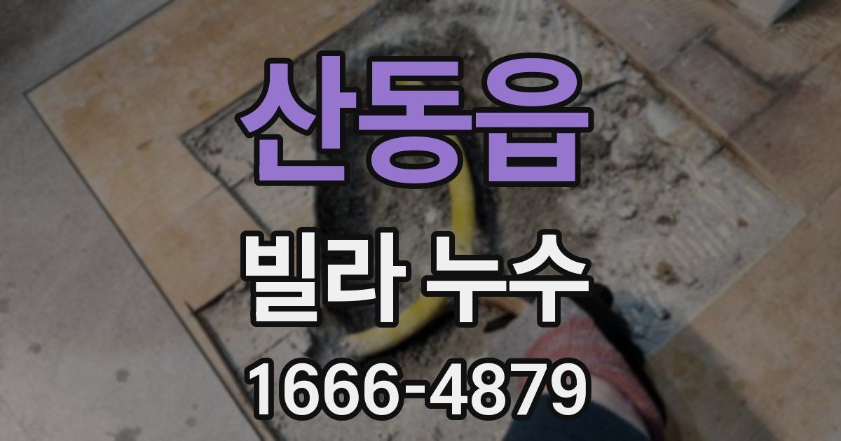 산동읍 빌라 누수
