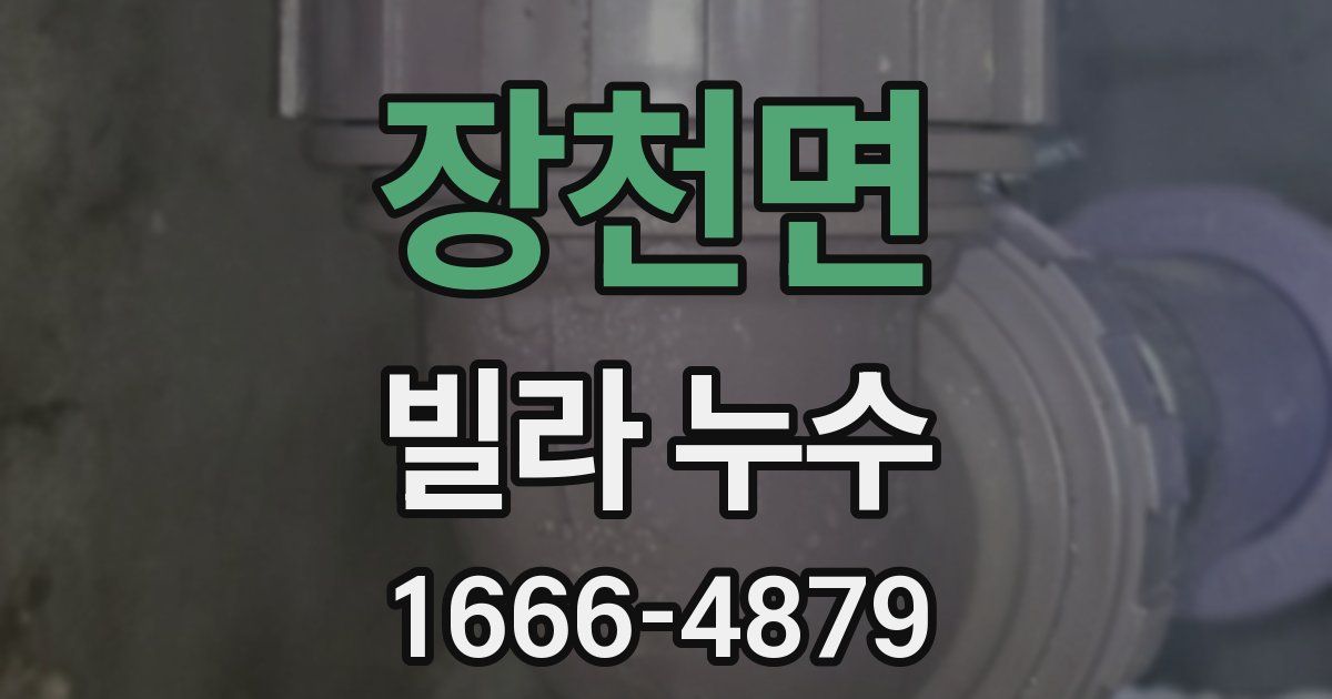 장천면 빌라 누수