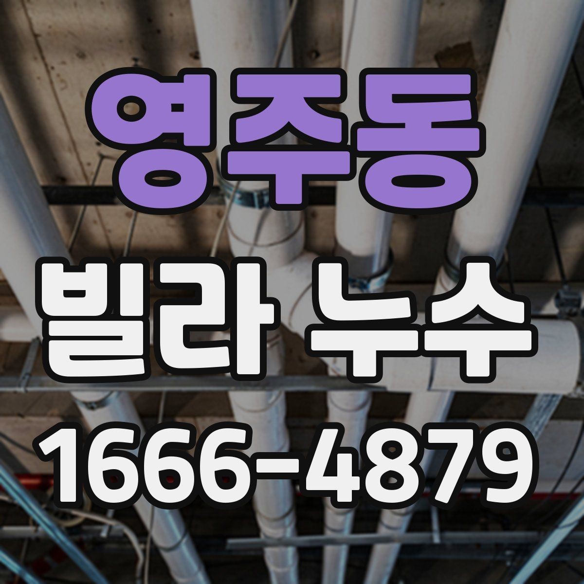 영주동 빌라 누수 현장 조사에서 중요한 체크포인트