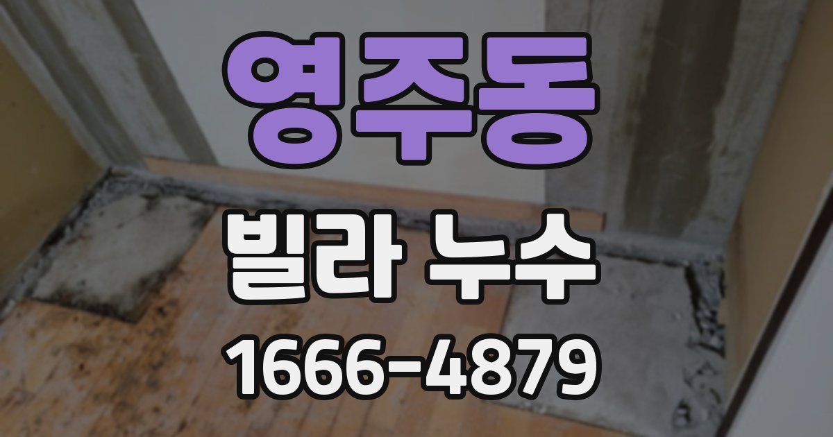 영주동 빌라 누수