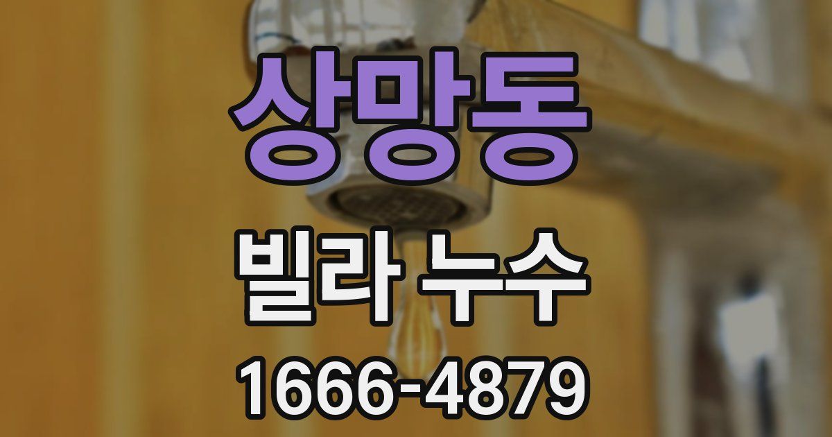 상망동 빌라 누수